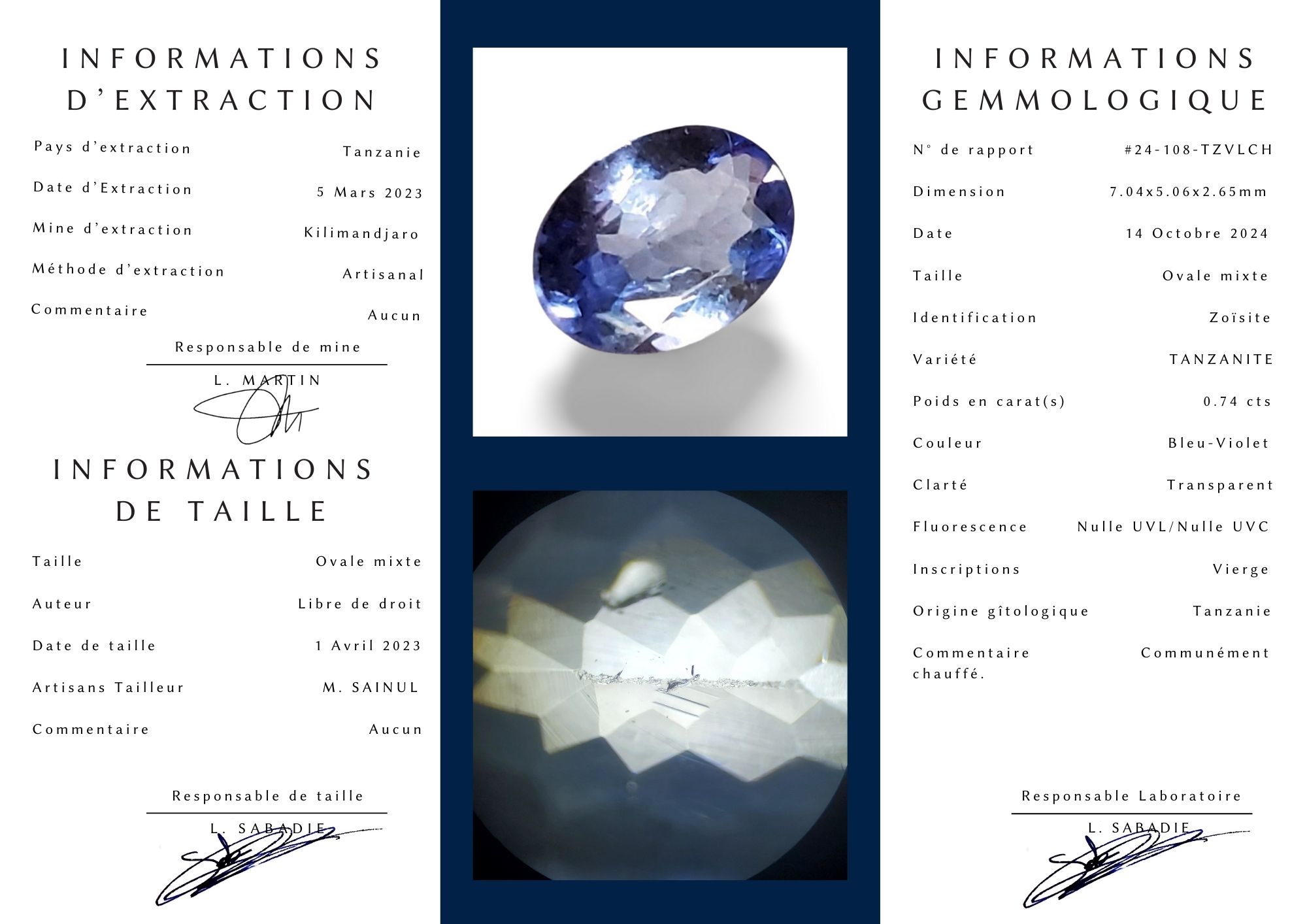 - Tanzanite de Tanzanie — 0,74 ct (Taille "Ovale Mixte") – Image 9