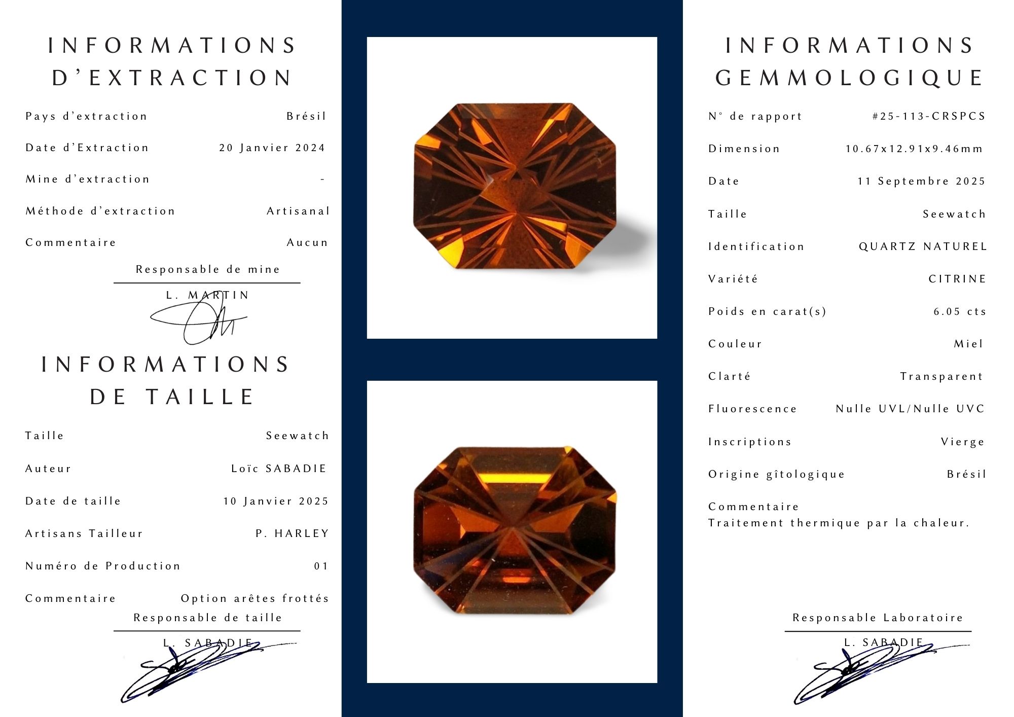 - Citrine du Brésil – 6.05 carats, Taille Seewatch – Image 13
