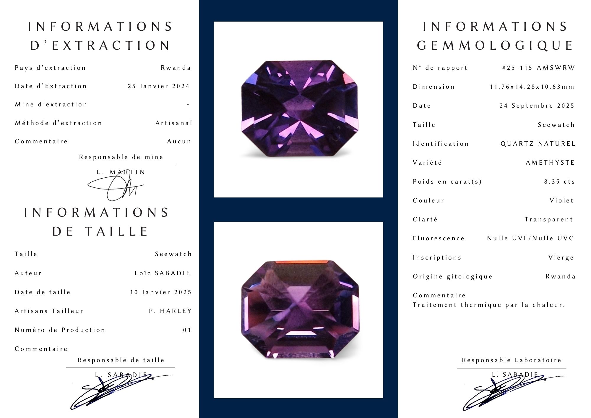 - Améthyste du Rwanda – 8.35 carats, Taille Seewatch – Image 8