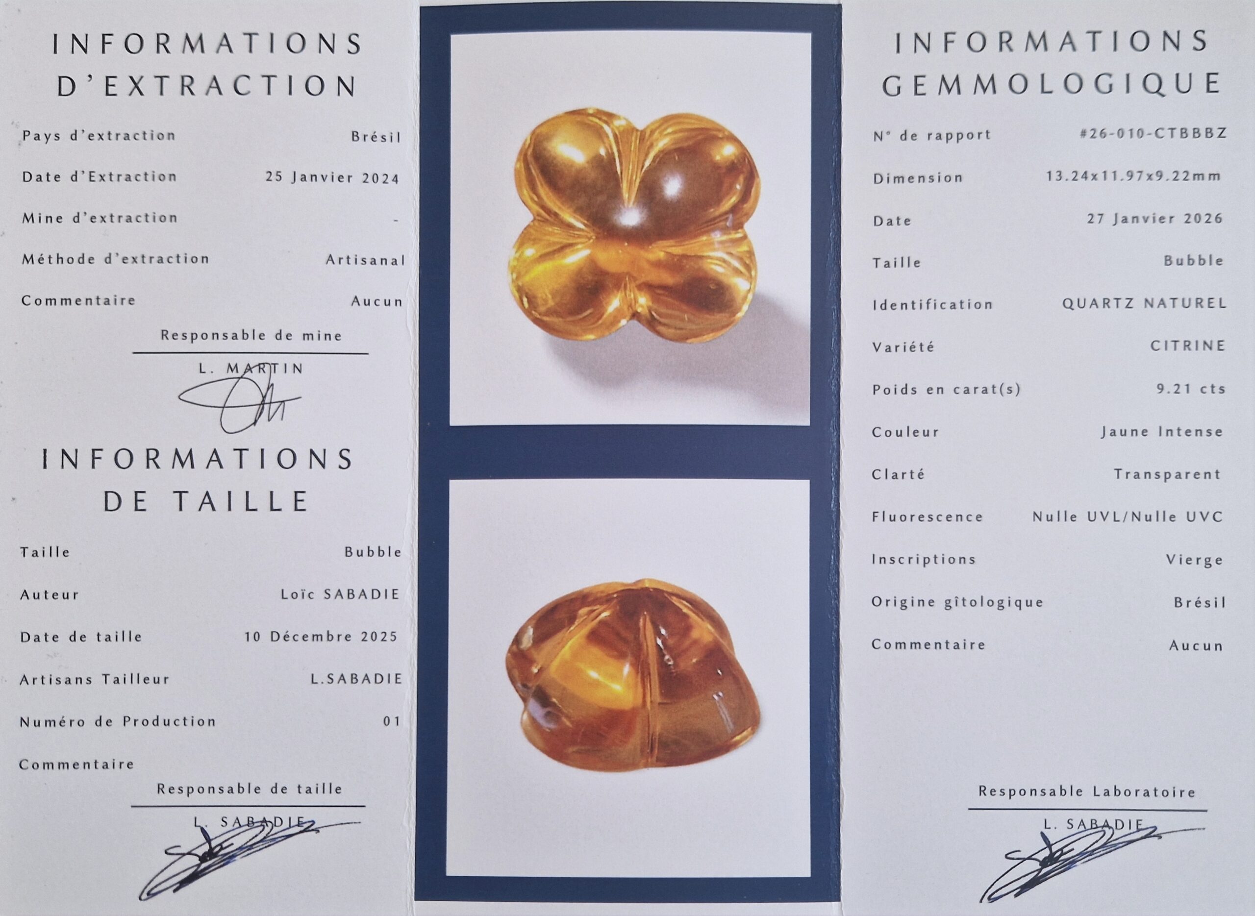 - Citrine d’Art du Brésil — 9,21 cts (Taille "Bubble" Trèfle par L. Sabadie) – Image 7