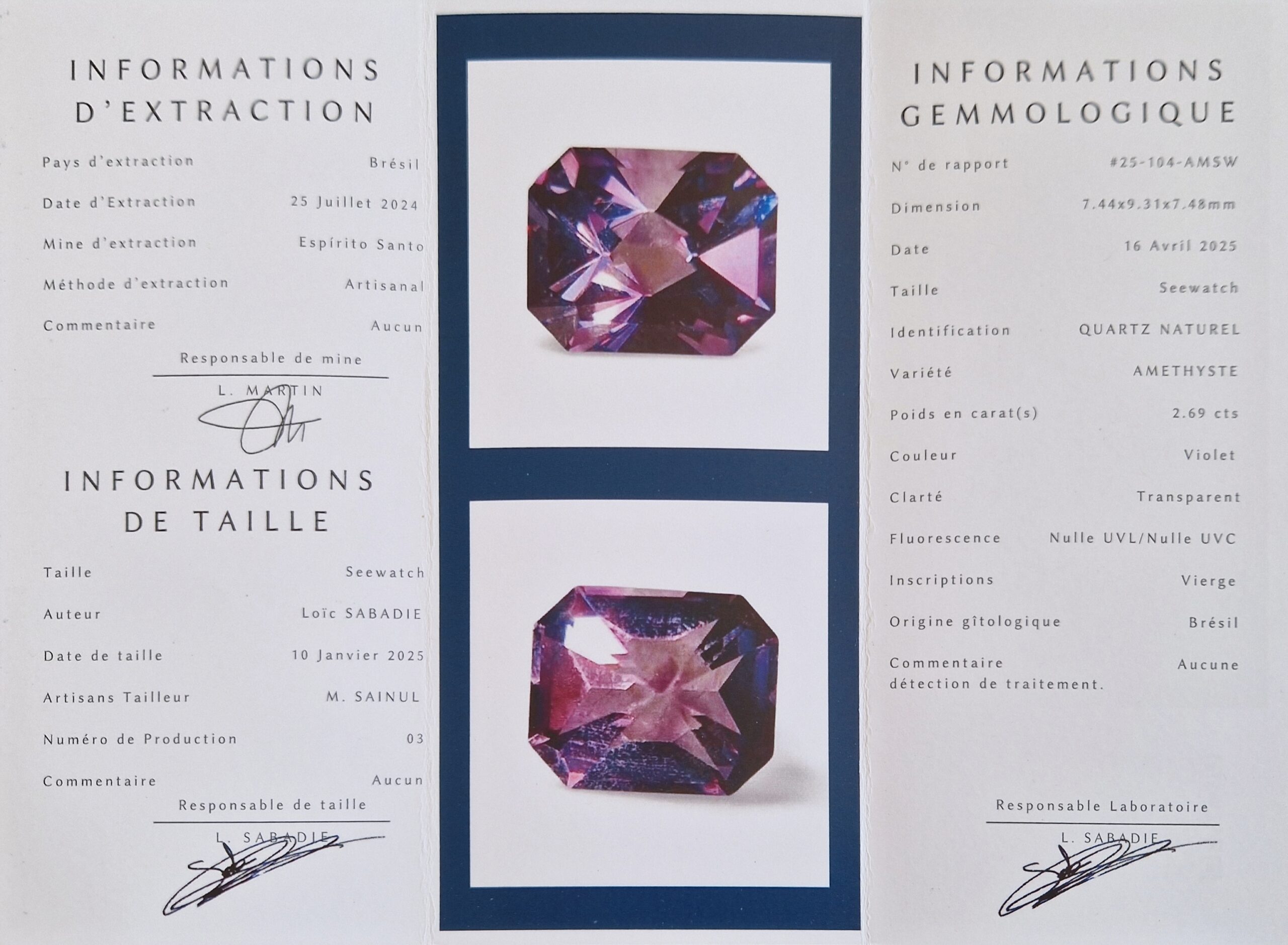 - Améthyste du Brésil — 2,69 cts (Taille “Seewatch” — Éclat Violet Profond) – Image 8