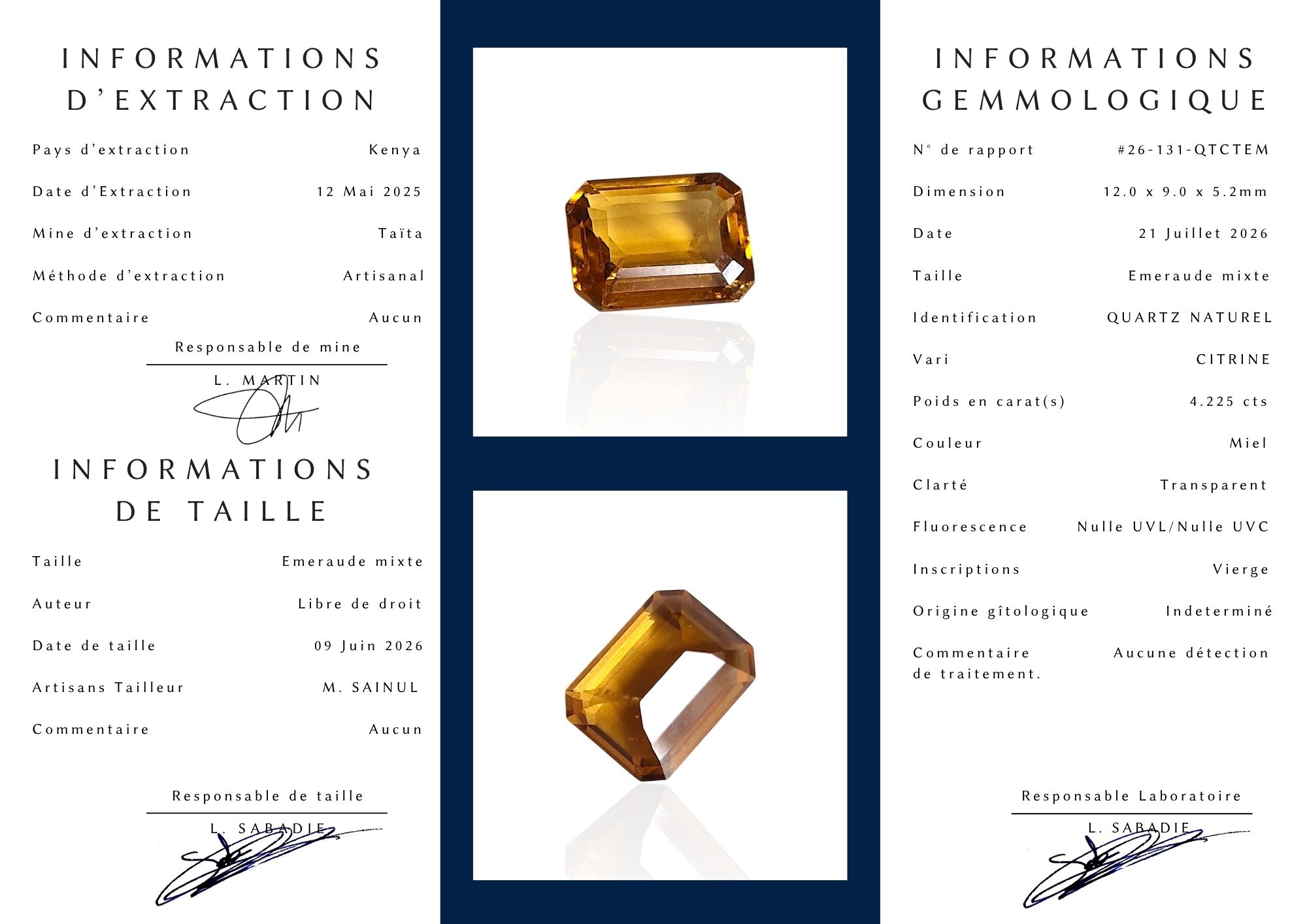 - Citrine du Kenya — 4,225 cts (Taille « Émeraude Mixte » — Couleur Miel) – Image 6